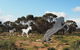 Wave Rock, Wild Flowers And Astro Photography - thumb 8