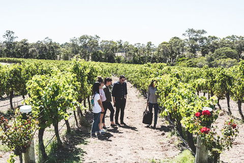 Voyager Estate: Voyager Unearthed & Cheeseboard - Find Attractions 1
