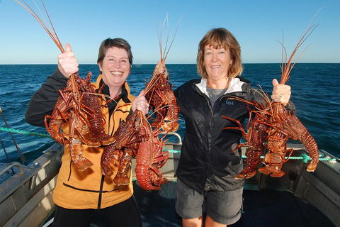 Abrolhos Islands 5 Day Tours - Find Attractions 1