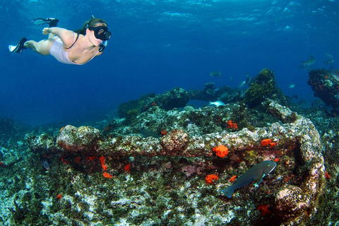 Abrolhos Islands 5 Day Tours - Find Attractions 3