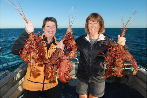 Abrolhos Islands 5 Day Tours - Find Attractions 0