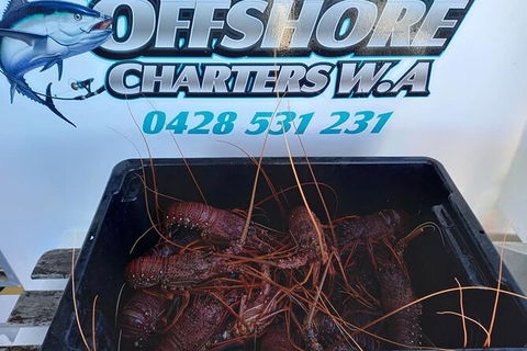 Lobster Fishing Tour At Geraldton - Find Attractions 0