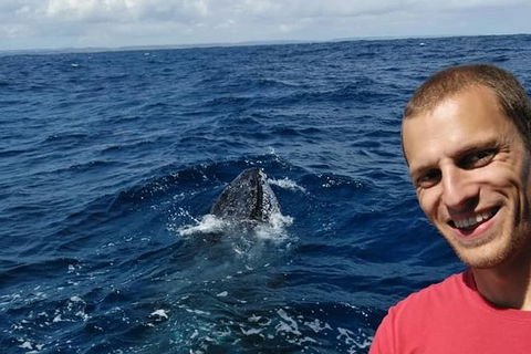 Whale Watching Boat Tour In Geraldton - Find Attractions 2