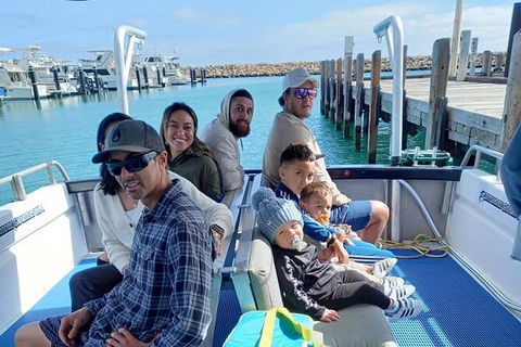Whale Watching Boat Tour In Geraldton - Find Attractions 1