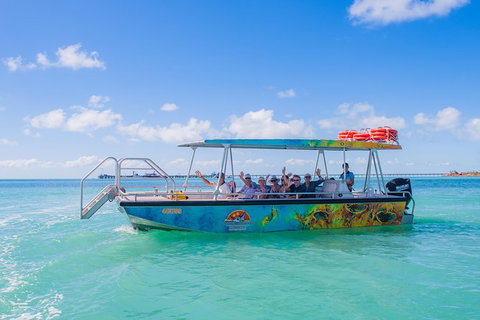 The Island Sandbar Experience - Find Attractions 5