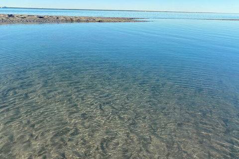 The Island Sandbar Experience - Find Attractions 4