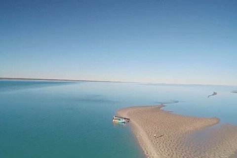 The Island Sandbar Experience - Find Attractions 6
