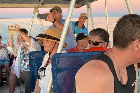 The Island Sandbar Experience - Find Attractions 3