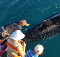 AOC Broome Whale Watching - Find Attractions
