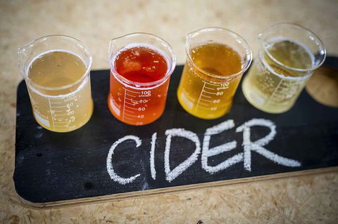 Bickley Valley Wine & Cider Tour - Premium Small Group Tour - Find Attractions 1