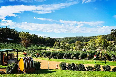 Bickley Valley Wine & Cider Tour - Premium Small Group Tour - Find Attractions 0