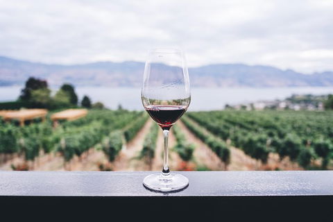 Full-Day Gourmet Wine Tour With Pick Up And Lunch - Find Attractions 1