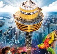 Sydney Tower Eye - Find Attractions