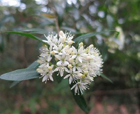 Booderee National Park - Find Attractions 0