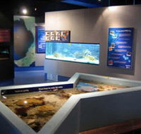 Marine and Freshwater Discovery Centre - Find Attractions