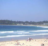 Mollymook Surf Beach - Find Attractions