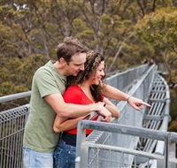 Valley of the Giants Tree Top Walk - Find Attractions