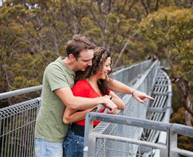 Valley Of The Giants Tree Top Walk - Find Attractions 0