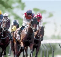 Colac Turf Club - Find Attractions