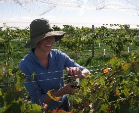 Kingsdale Wines - Find Attractions 0