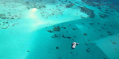 Ocean Free & Ocean Freedom - Cairns Premier Reef And Island Tours - Find Attractions 3
