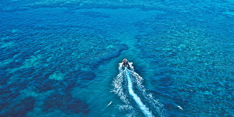 Ocean Free & Ocean Freedom - Cairns Premier Reef And Island Tours - Find Attractions 4