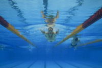 Book Kensington Accommodation Vacations Find Attractions Find Attractions