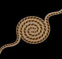 Original  Authentic Aboriginal Art - Find Attractions