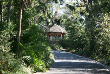 Royal Botanic Gardens Victoria - Find Attractions 0