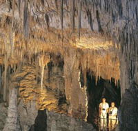 Mammoth Cave - Find Attractions