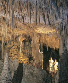 Mammoth Cave - Find Attractions 0