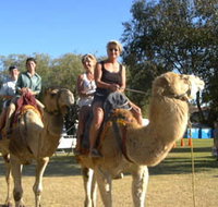 Calamunnda Camel Farm - Find Attractions