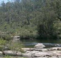 Wellington Discovery Forest - Find Attractions
