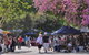 Eumundi Markets - thumb 3