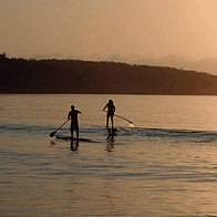 Jervis Bay Stand Up Paddle - Find Attractions 2