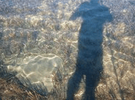 Jervis Bay Stand Up Paddle - Find Attractions 3