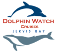 Dolphin Watch Cruises - Find Attractions 2