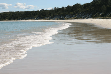 Dolphin Watch Cruises - Find Attractions 5