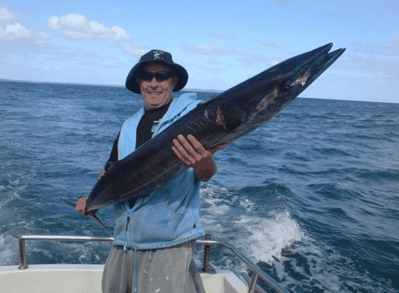 Jervis Bay Fishing And Charters - Find Attractions 4