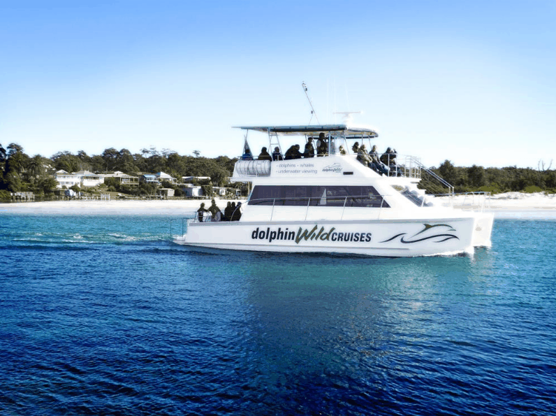 Dolphin Wild Cruises - Find Attractions 1