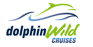 Dolphin Wild Cruises - Find Attractions 4