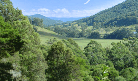 Blue Poles Gallery - Find Attractions 1