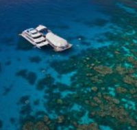 Great Adventures Reef and Green Island Cruises - Find Attractions