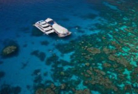 Great Adventures Reef And Green Island Cruises - Find Attractions 0