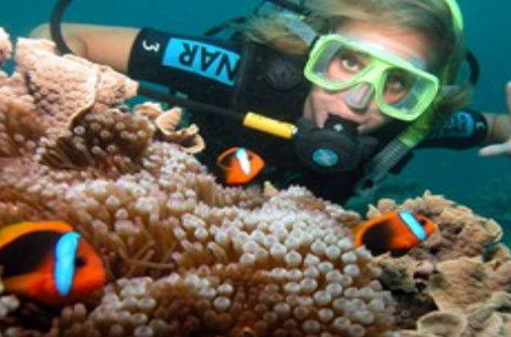 Ocean Spirit Cruises - Find Attractions 1