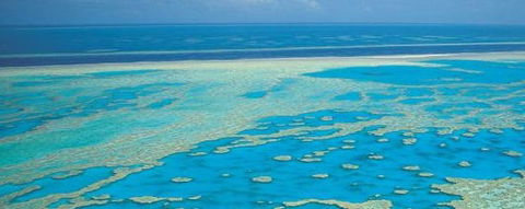 Aristocat Snorkel And Scuba Port Douglas - Find Attractions 3