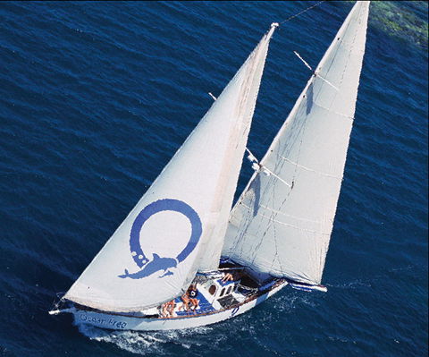 Ocean Free & Ocean Freedom - Cairns Premier Reef And Island Tours - Find Attractions 0