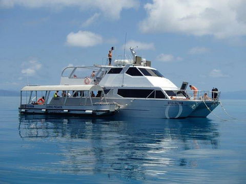 Ocean Free & Ocean Freedom - Cairns Premier Reef And Island Tours - Find Attractions 1