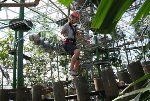 Cairns ZOOm And Wildlife Dome - Find Attractions 2