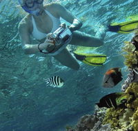 Calypso Reef Charters - Find Attractions